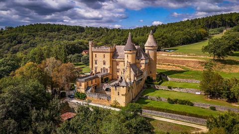Château de Puymartin