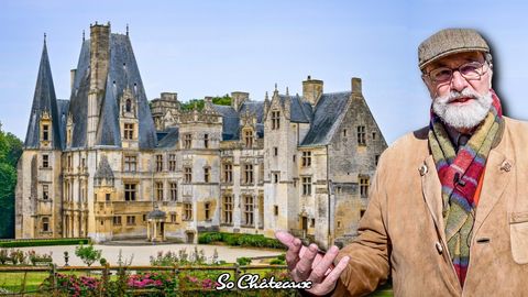 Château de Fontaine-Henry